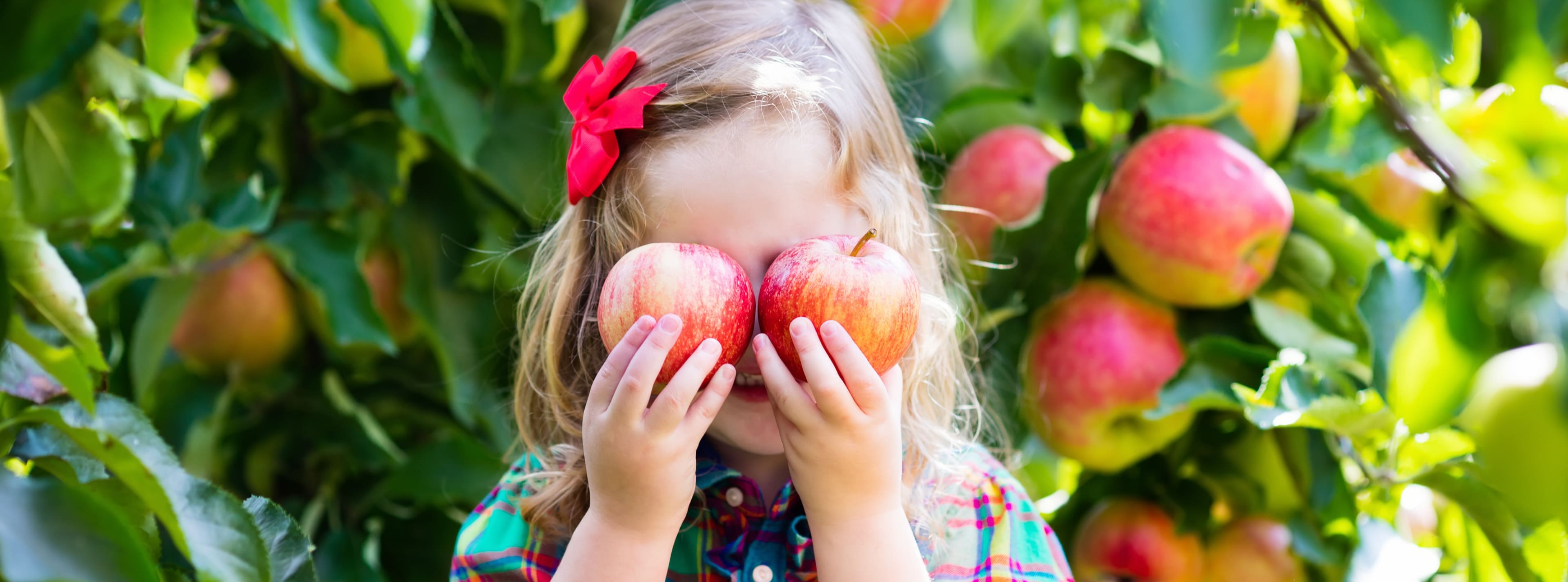 Surfrut Hero Background