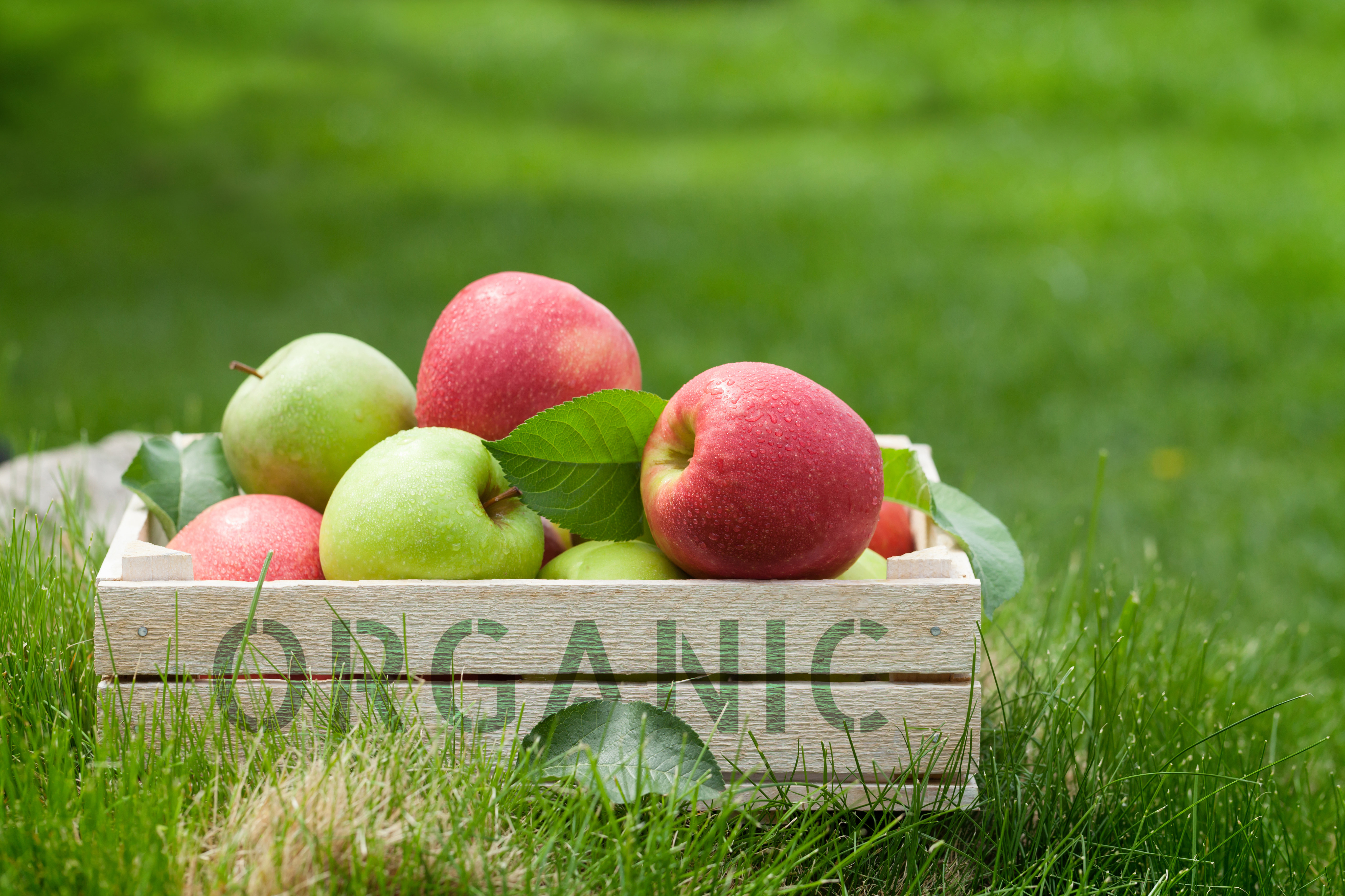 Organic Apples